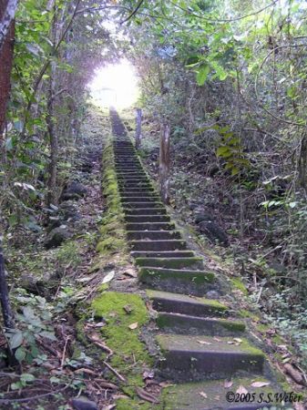 Carara National Park. 